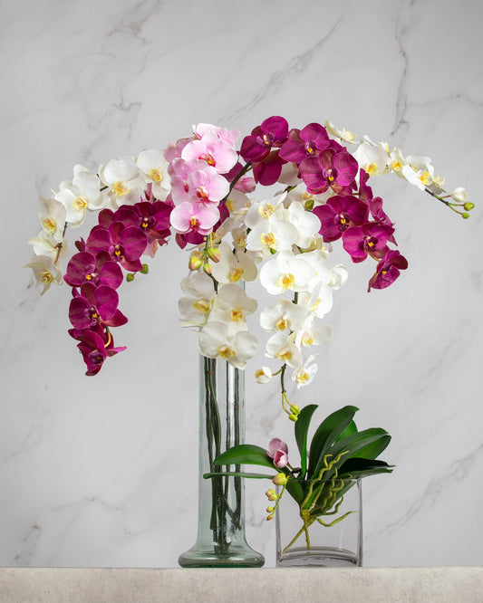 How to Clean Fake Orchids: A Complete Care Guide