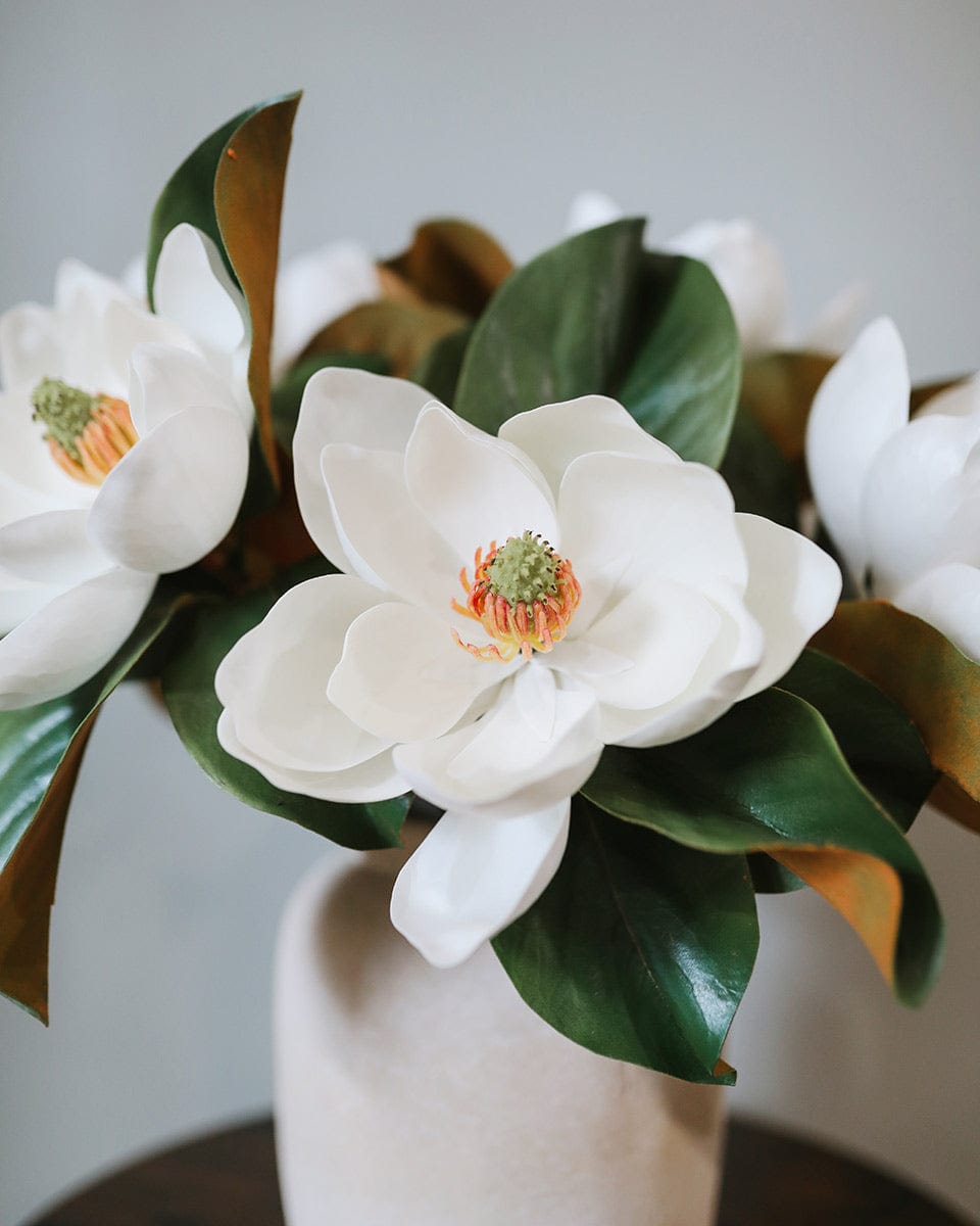 Artificial Magnolia Blossoms Styled in Vase with Faux Magnolia Greenery