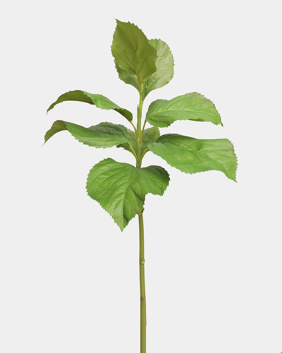 Hydrangea Leaves Faux Foliage