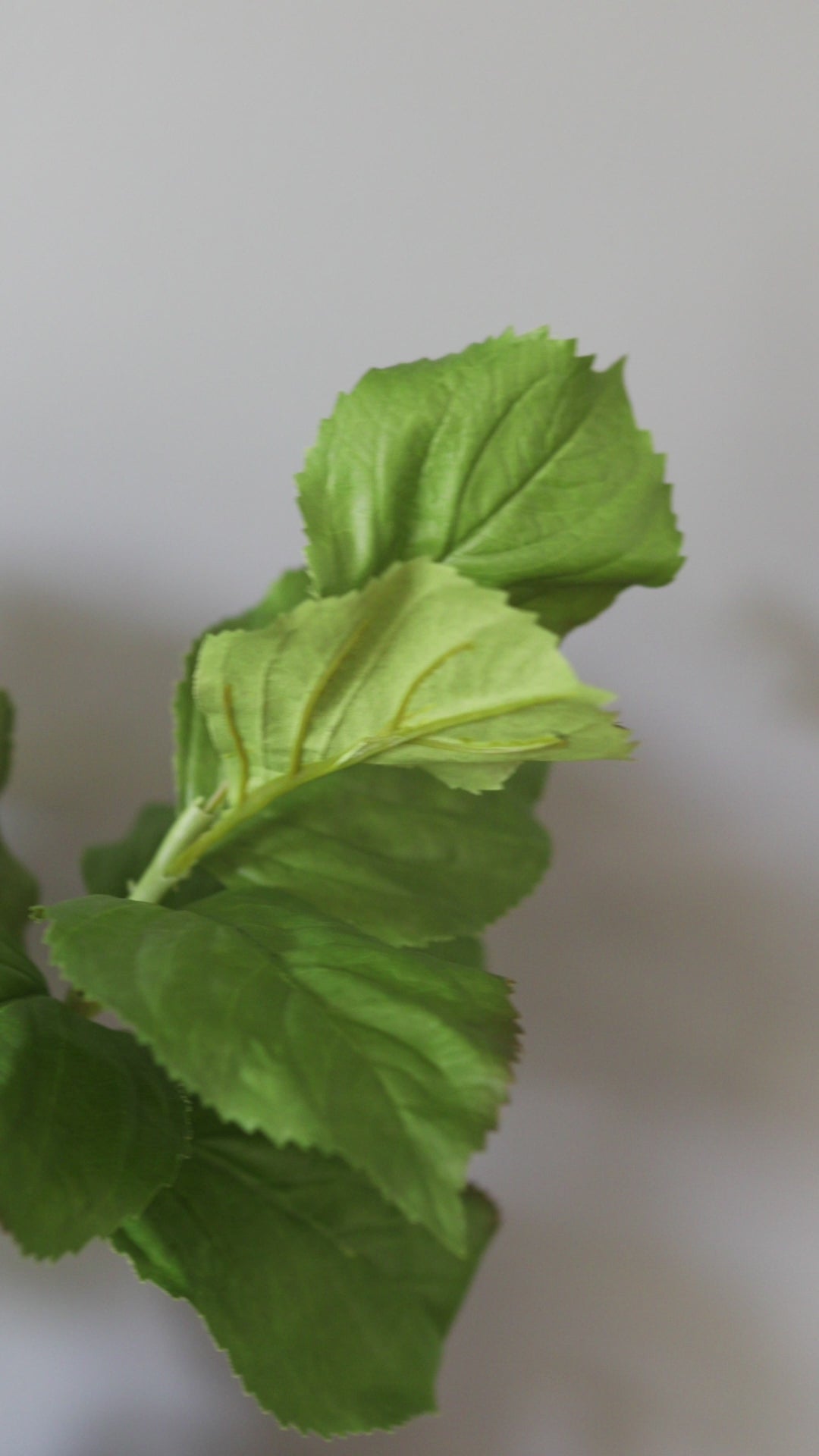 Video Showcasing Artificial Hydrangea Leaf Foliage